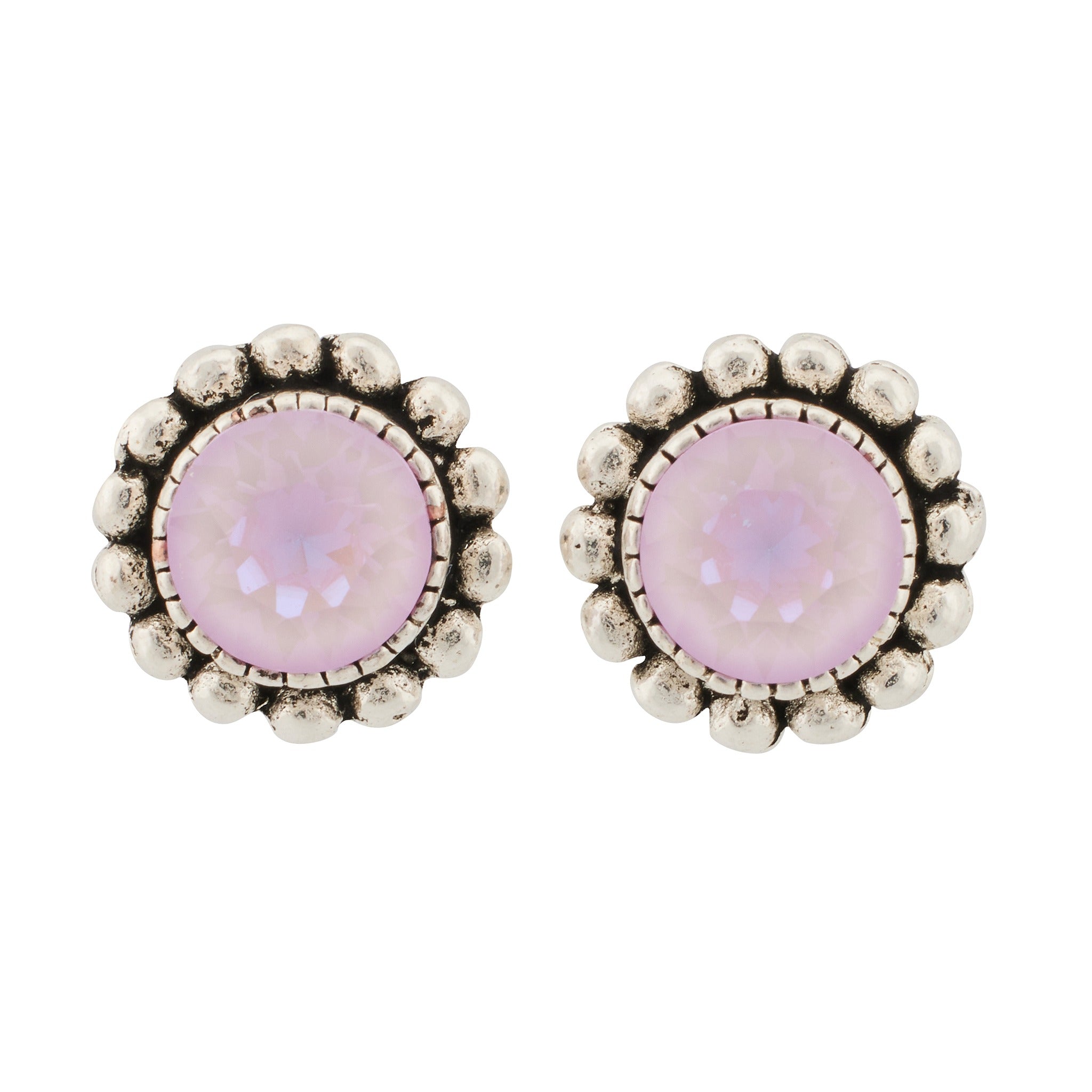 CLV-LAVENDER DELITE - violett, rosa
