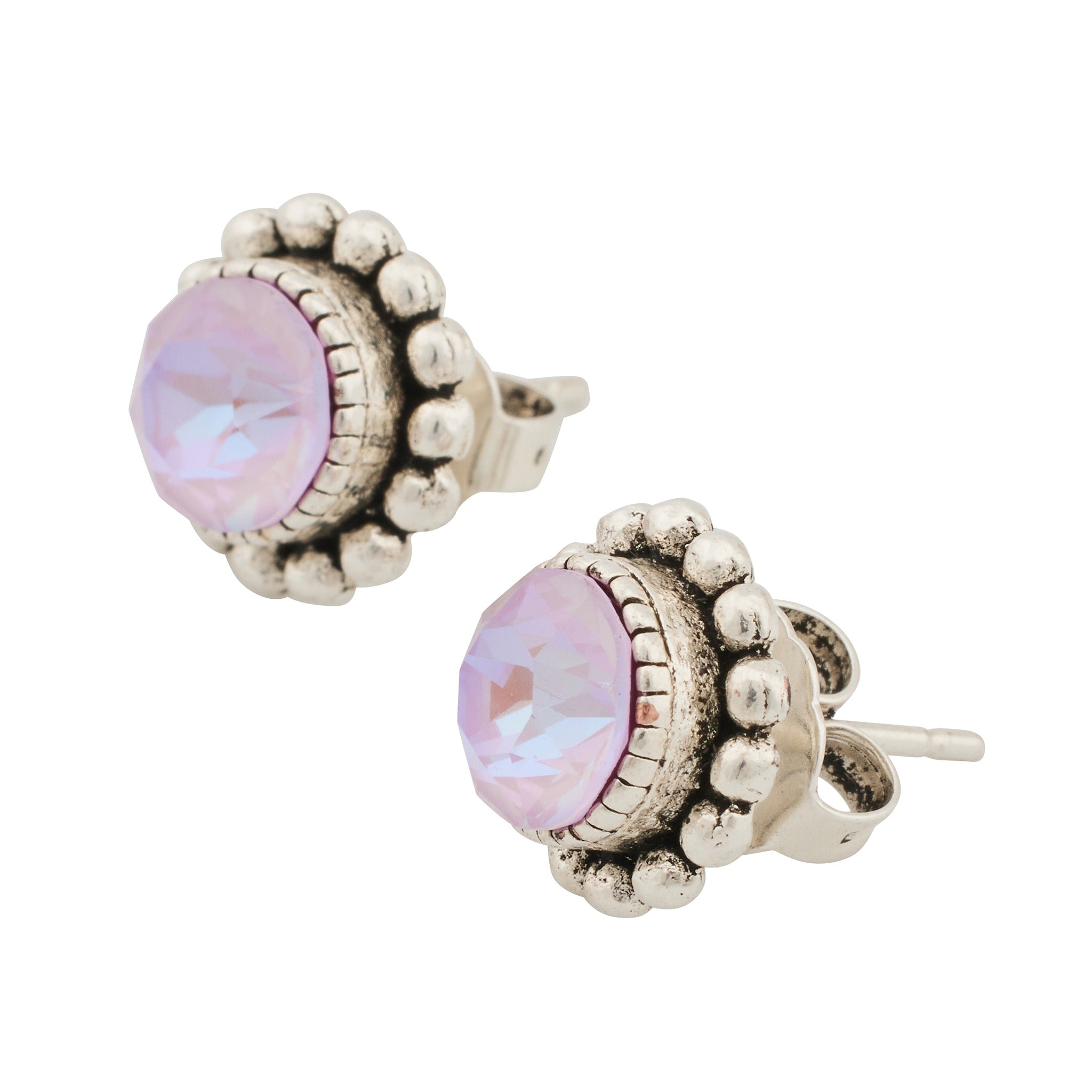 CLV-LAVENDER DELITE - violett, rosa