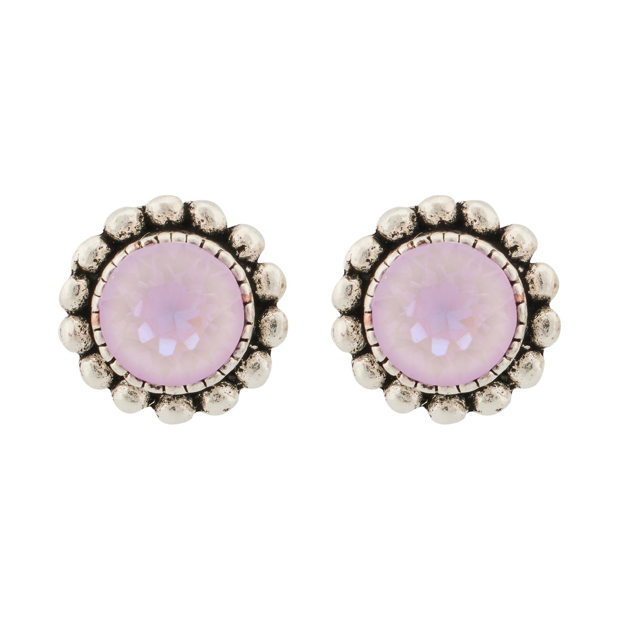 CLV-LAVENDER DELITE - violett, rosa