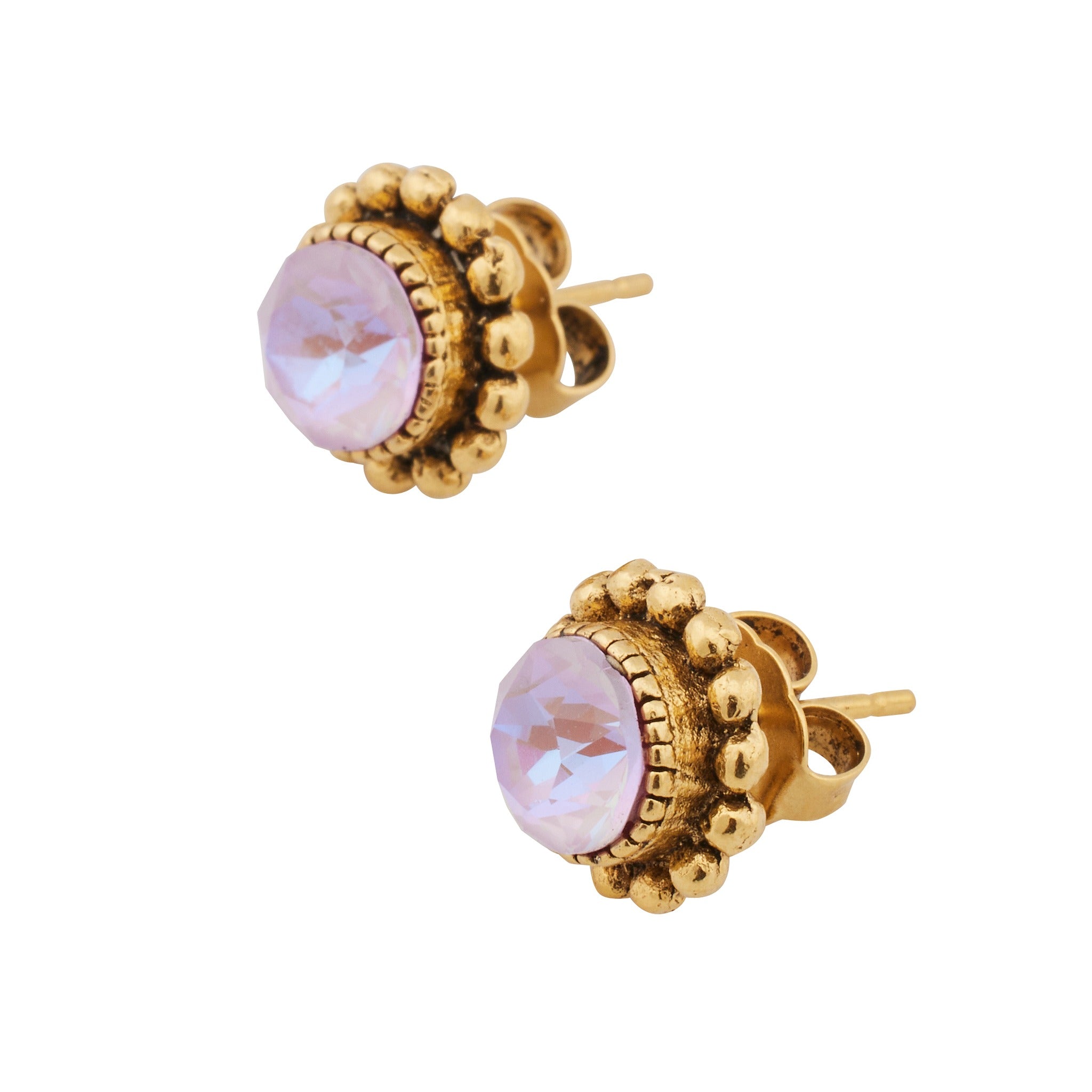 CLV-LAVENDER DELITE - violett, rosa