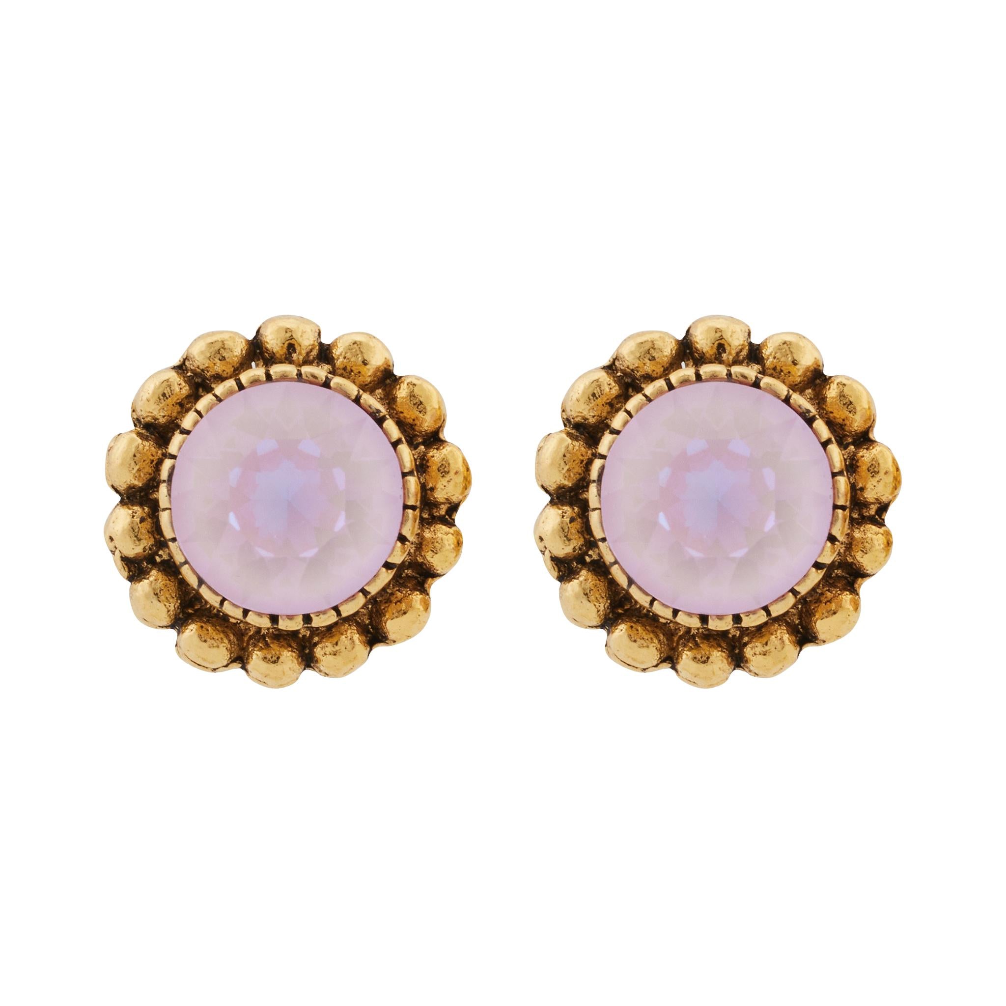 CLV-LAVENDER DELITE - violett, rosa