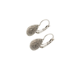 SILBER -  