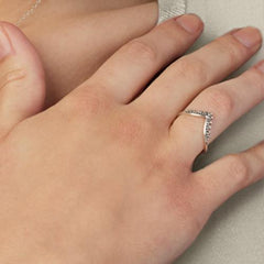 SILBER -  